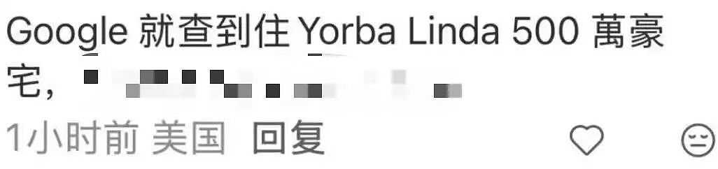两华裔女子组团偷包裹,当场被抓!被曝住500万美元豪宅,或被判3年监禁(组图) - 7
