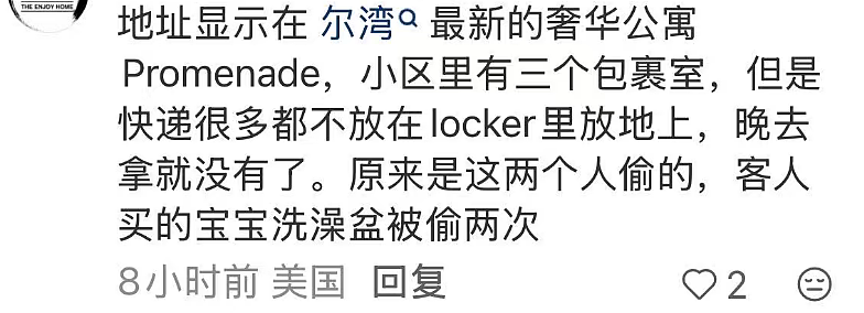两华裔女子组团偷包裹,当场被抓!被曝住500万美元豪宅,或被判3年监禁(组图) - 13