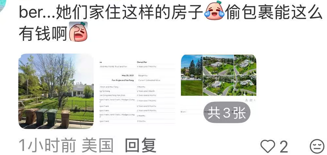 两华裔女子组团偷包裹,当场被抓!被曝住500万美元豪宅,或被判3年监禁(组图) - 8