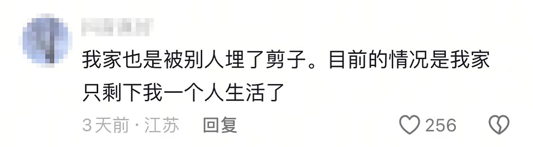 广东男子建新房被“埋骨”事件：评论区让我瑟瑟发抖……（组图） - 9