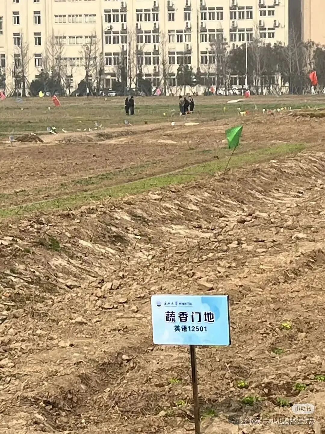 【爆笑】“发现男友给异性视频点赞后破防了…?”哈哈哈无能的妻子具像化了!(组图) - 75
