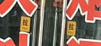 【宠物】救助站开蛋宰派对，80只猫同时嘎了160个蛋！晒出图片惊呆全网...网友抓狂：好像一盘水煮花生啊（组图） - 14