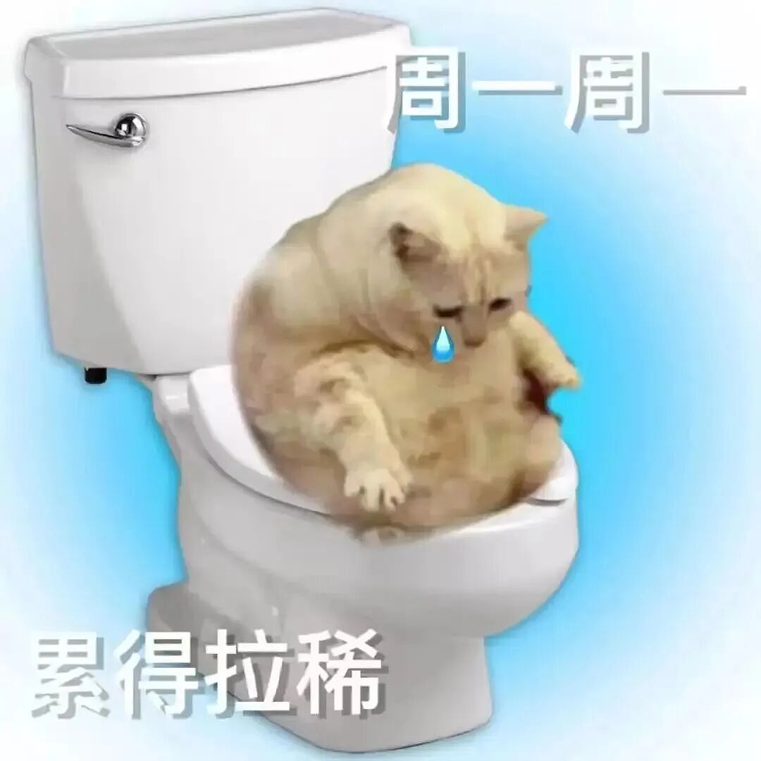 【宠物】救助站开蛋宰派对，80只猫同时嘎了160个蛋！晒出图片惊呆全网...网友抓狂：好像一盘水煮花生啊（组图） - 1