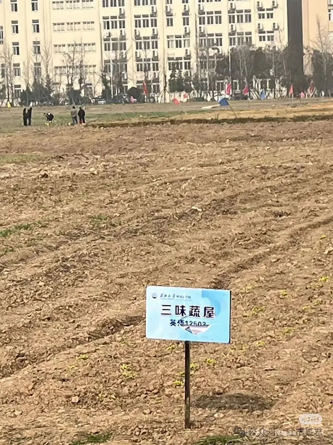 【爆笑】“发现男友给异性视频点赞后破防了…?”哈哈哈无能的妻子具像化了!(组图) - 74
