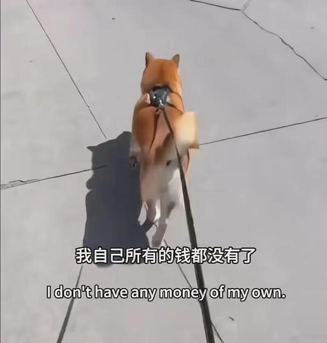 郑爽方晒录音谴责造谣者,声音哽咽再度辟谣,疑似男友在线安慰(组图) - 15