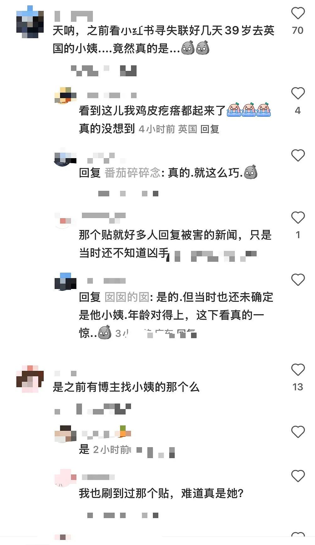 华女伦敦被刺身亡!事发地为西伦敦富人区,23岁男子行凶(组图) - 8
