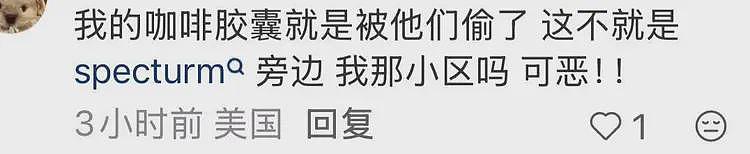 丢人！华裔女子组团偷包裹当场被抓，被曝住500万美元豪宅（组图） - 13