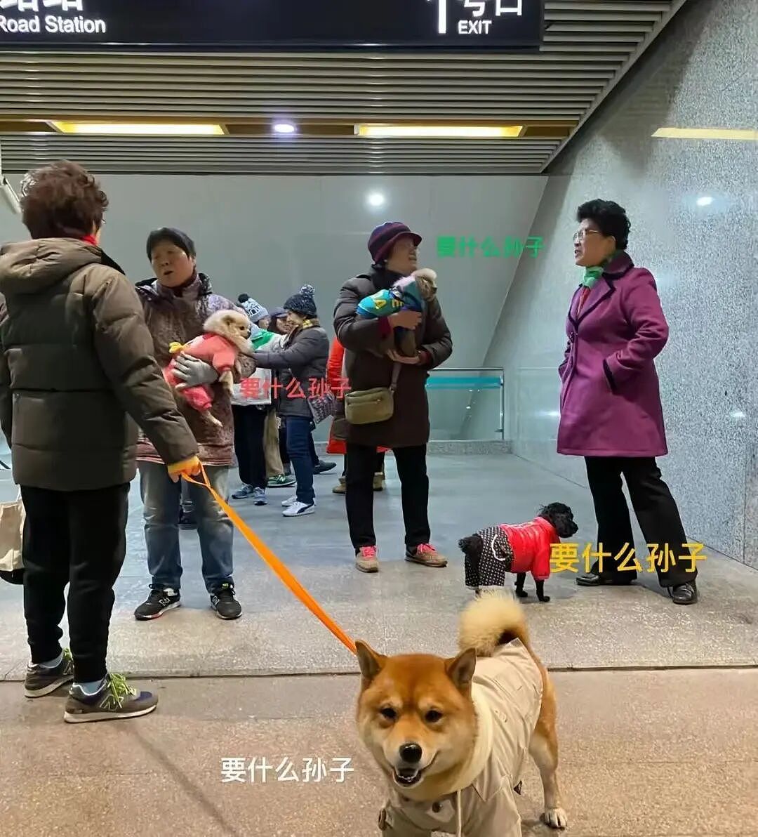 【爆笑】男朋友给我报销奶茶却备注非自愿赠与…？啊啊啊分手日就是你的还款日（组图） - 50