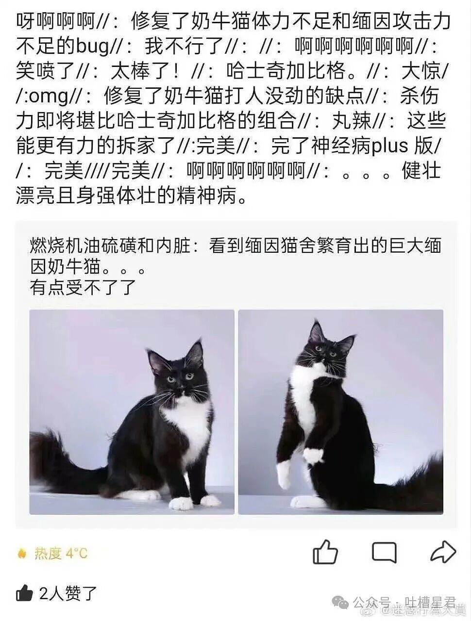【爆笑】发现男友给异性视频点赞后破防了…?哈哈哈无能的妻子具像化了(组图) - 22