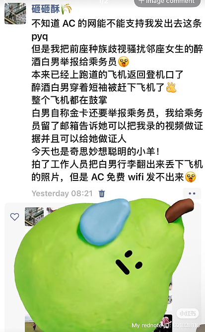 白男脏话辱骂中国女孩，华人女博士怼到他结巴，直接轰下飞机（视频/组图） - 3