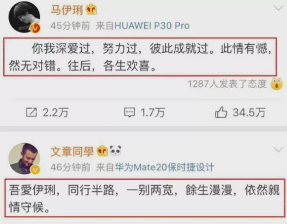 向太再曝大瓜,撕开马伊琍与文章婚姻的真相(组图) - 8