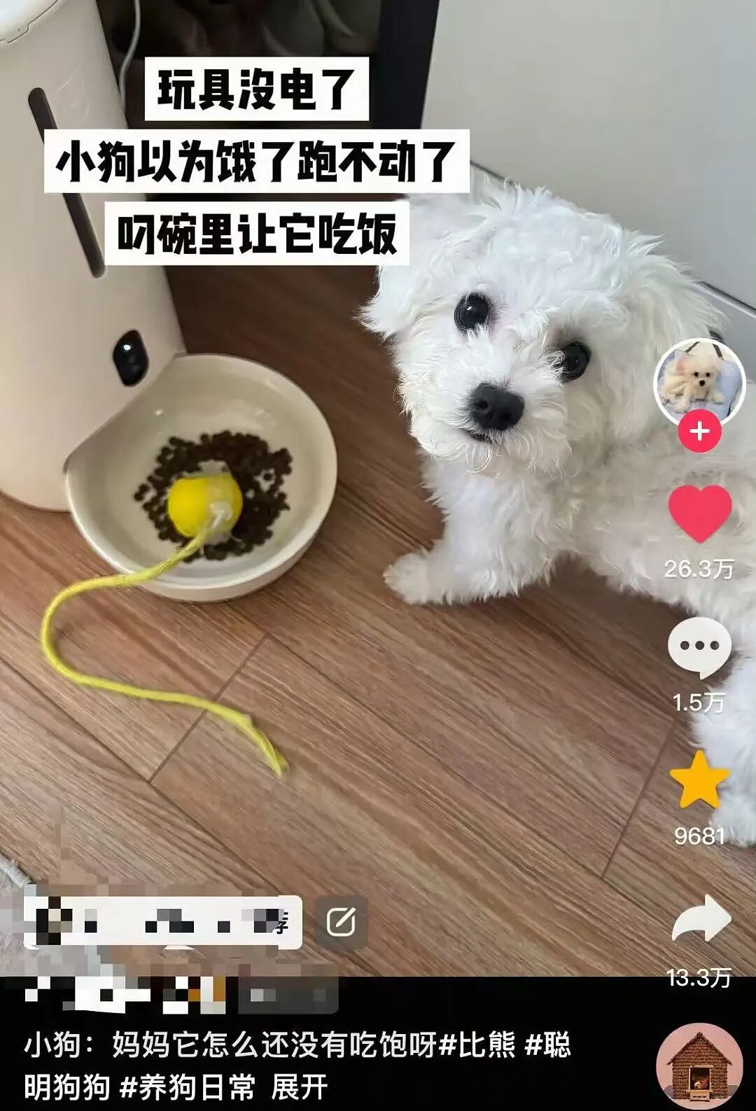 【爆笑】男朋友给我报销奶茶却备注非自愿赠与…？啊啊啊分手日就是你的还款日（组图） - 41