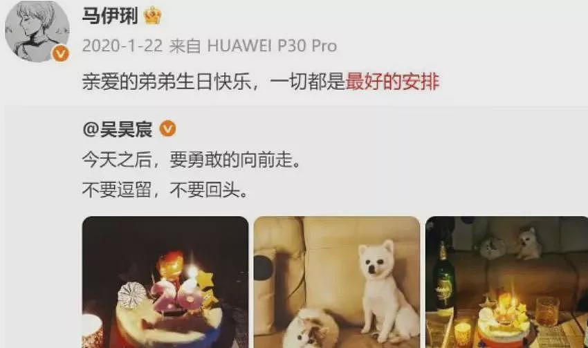 向太再曝大瓜,撕开马伊琍与文章婚姻的真相(组图) - 13