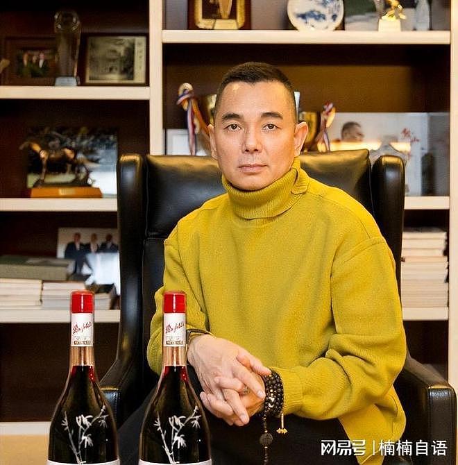 原来他就是李湘前夫，如今52岁锒铛入狱，撕掉李湘最后一丝体面（组图） - 24