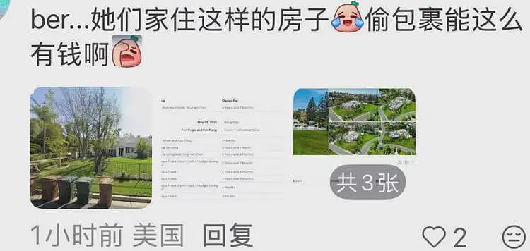 丢人！华裔女子组团偷包裹当场被抓，被曝住500万美元豪宅（组图） - 8