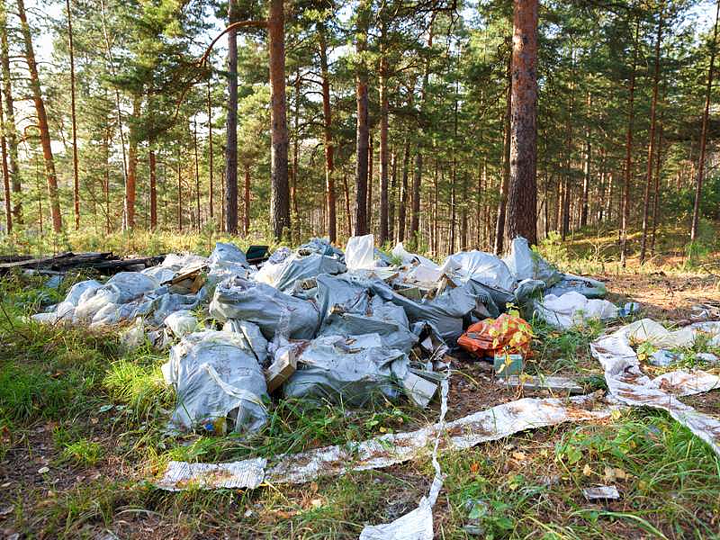 澳洲多地政府提醒公众:圣诞假期不要做这件事,抓到最高罚款$9880(组图) - 5