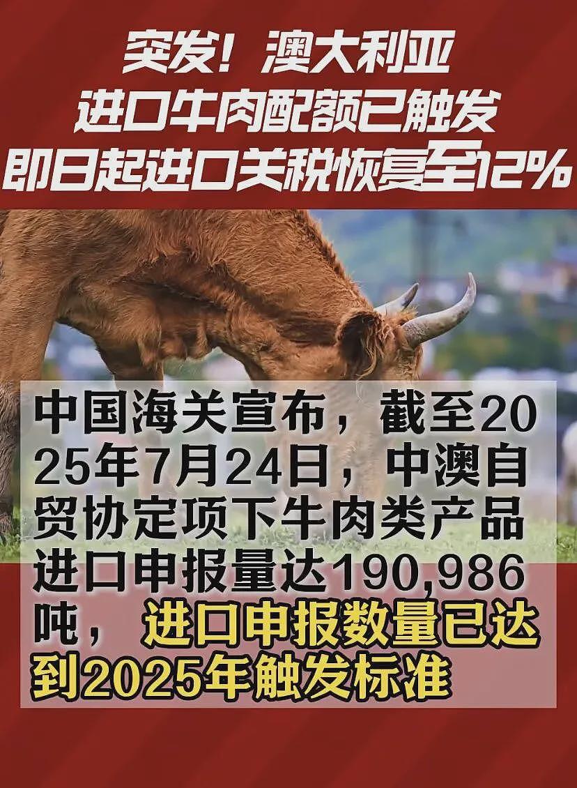海南封关，对你最直接的好处可能是便宜牛肉干（图） - 5