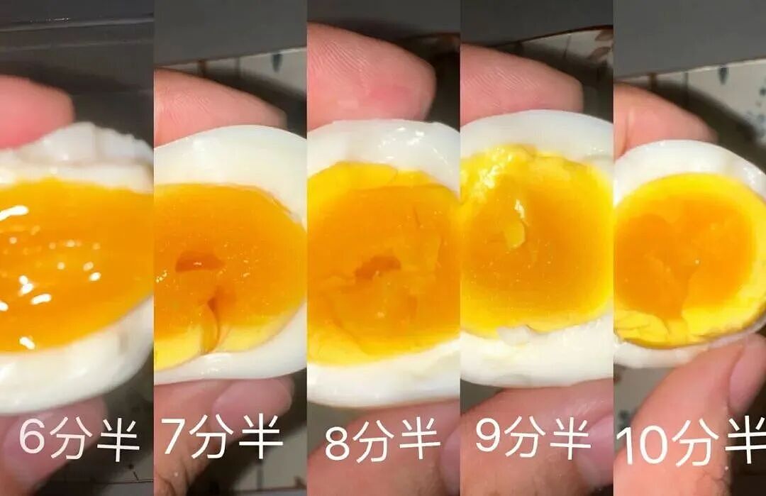 两句话涨了400万粉丝,这届网友开始认真学习煮鸡蛋(组图) - 1