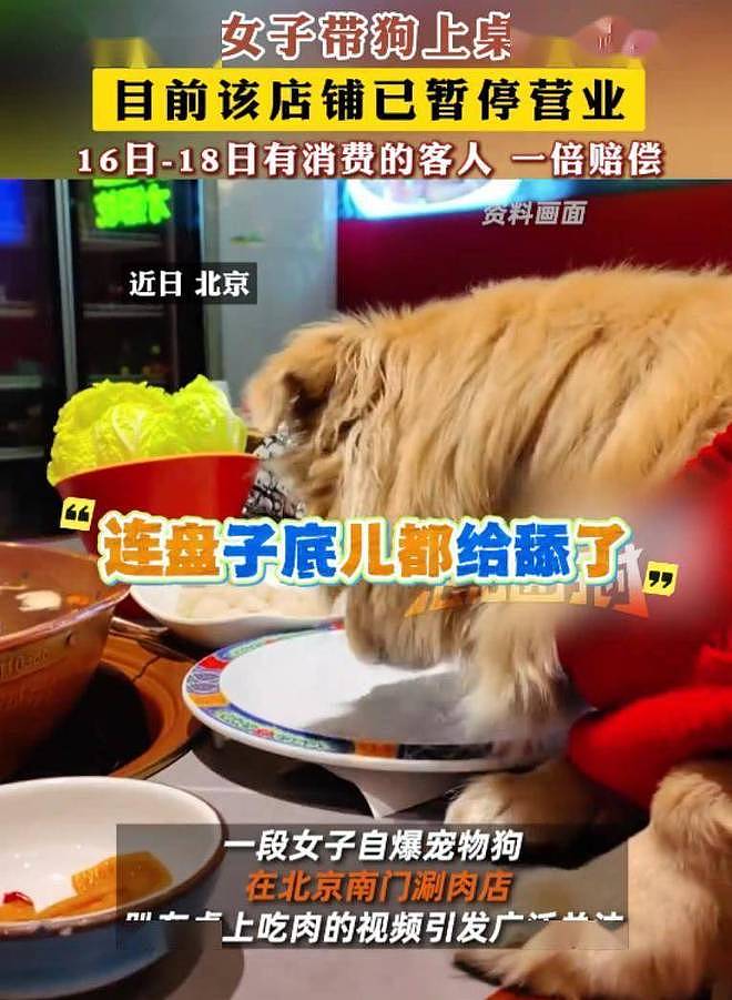恶心!北京女子带狗吃涮肉舔遍盘子,餐厅追责:北京一套房不够赔(组图) - 1
