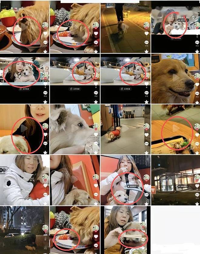 恶心!北京女子带狗吃涮肉舔遍盘子,餐厅追责:北京一套房不够赔(组图) - 4