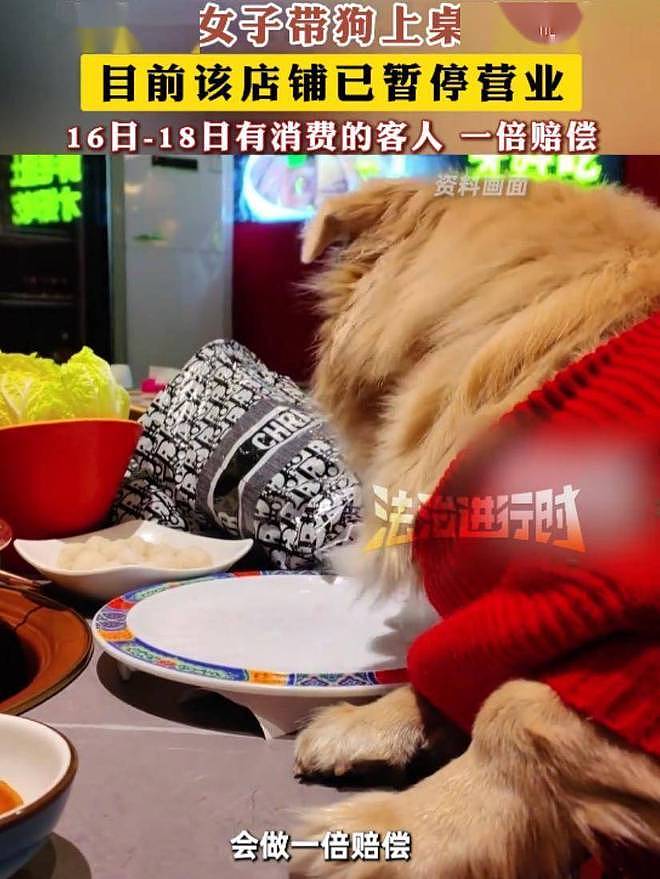 恶心!北京女子带狗吃涮肉舔遍盘子,餐厅追责:北京一套房不够赔(组图) - 7