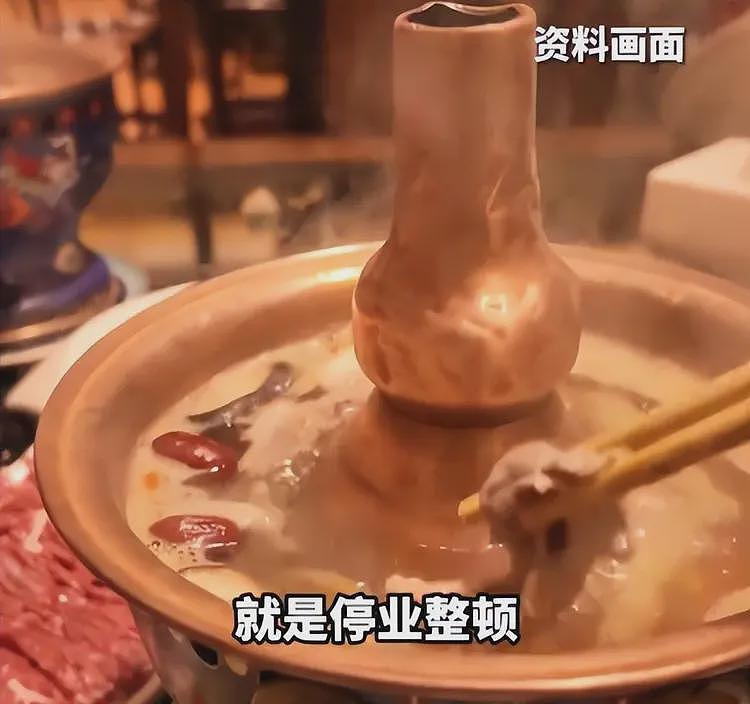 带狗上桌吃饭后续:伪造和解书,多家店遭殃,店铺将追究法律责任(组图) - 6