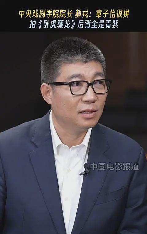 拔出萝卜带出泥！中戏院长郝戎自首被查，靳东也被牵连（组图） - 4