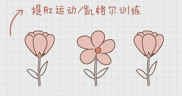 中年女性少做这个动作，每一次都是在冲击盆底肌（组图） - 5