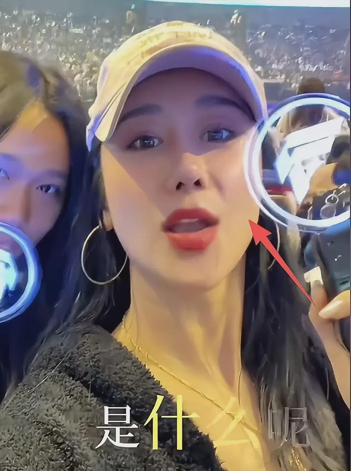 F4演唱会成照妖镜,佟丽娅有了皱纹,蒋丽莎脸僵肿,司雯嘉太惊艳(组图) - 37