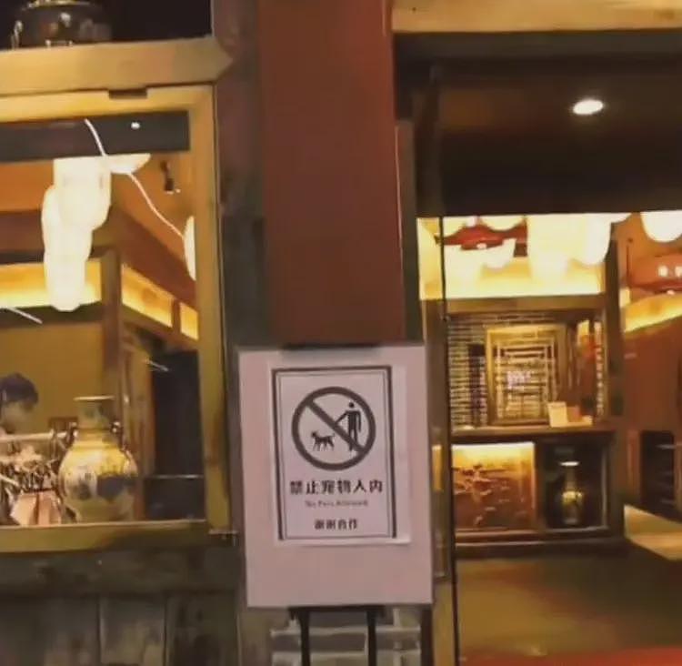带狗上桌吃饭后续:伪造和解书,多家店遭殃,店铺将追究法律责任(组图) - 2