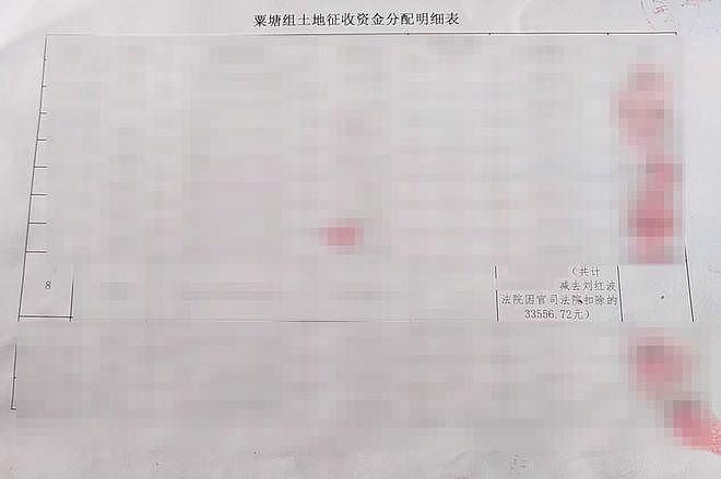 湘潭一村民组开会决议将“外嫁女”所得法院执行款项从其亲属头上扣除，村支书：对决议不知情，未签字批准（组图） - 3