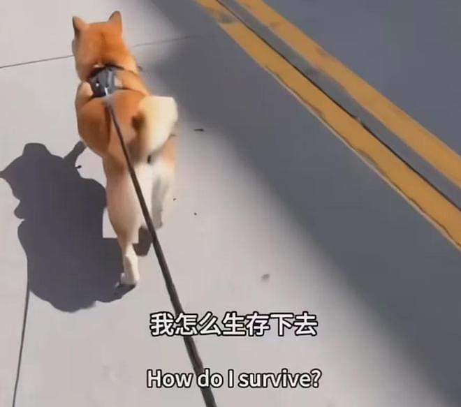 郑爽方晒录音谴责造谣者，声音哽咽再度辟谣，疑似男友在线安慰（组图） - 16