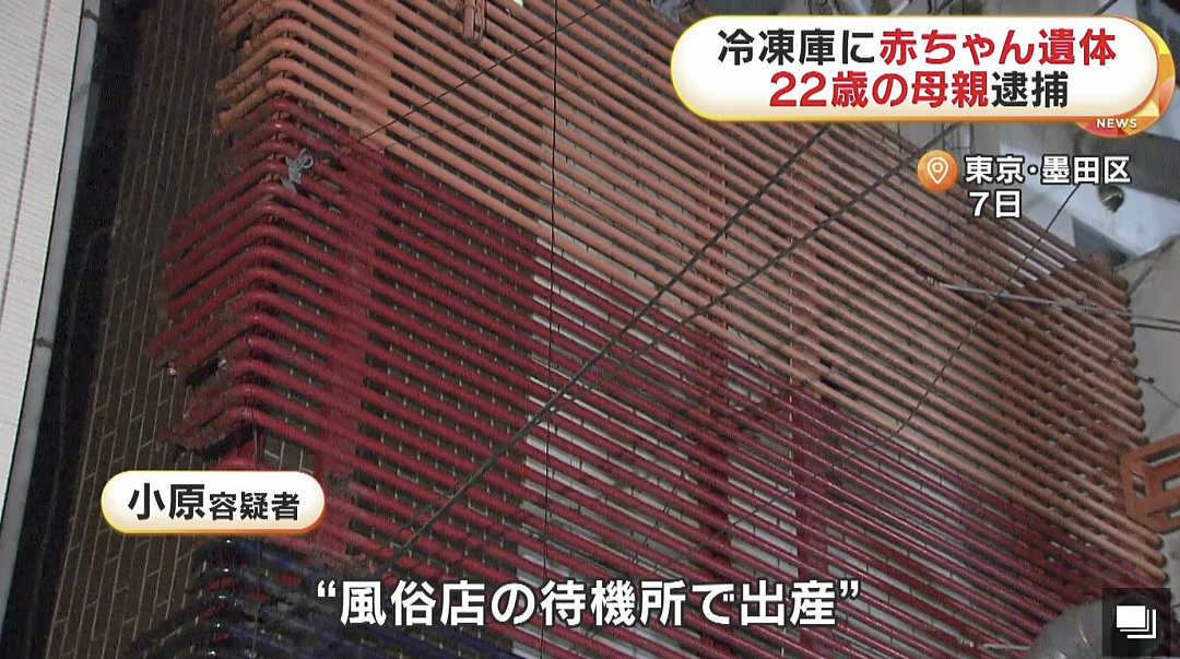 日本22岁女子秘密生娃将其肢解!塞冰箱9个月,称想孩子陪伴…(组图) - 2