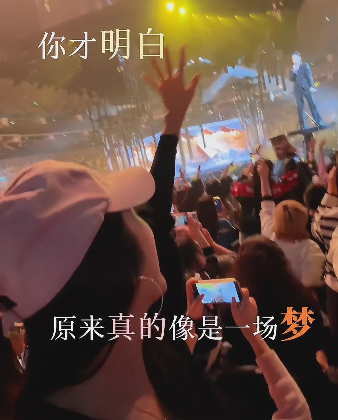 F4演唱会成照妖镜,佟丽娅有了皱纹,蒋丽莎脸僵肿,司雯嘉太惊艳(组图) - 35