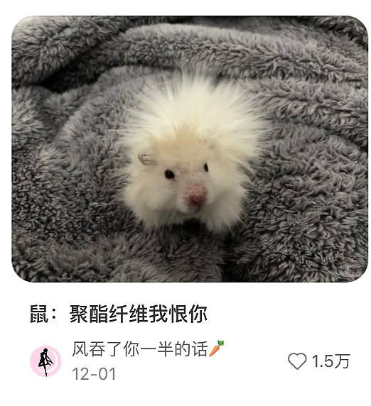 “穷人的貂”2000一件，让多少人破防了？（组图） - 1