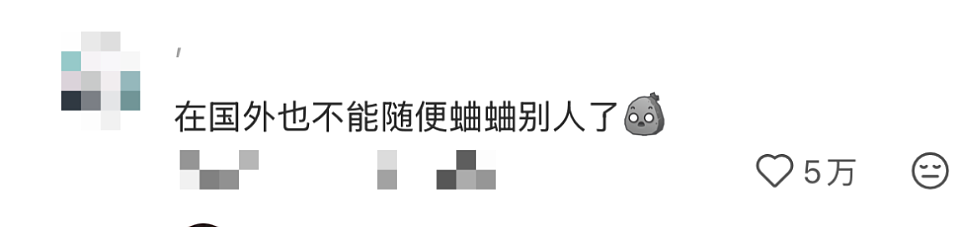 中国小伙在意大利等大巴时自言自语，被当地阿姨用中文接话；网友：她学这么久终于能露一手（视频/组图） - 6
