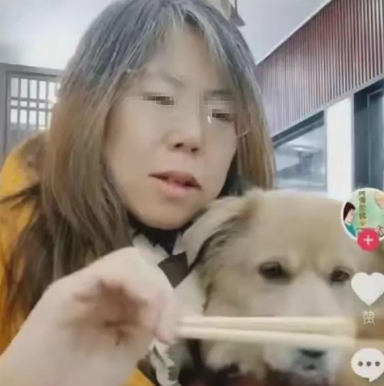 带狗上桌吃饭后续:伪造和解书,多家店遭殃,店铺将追究法律责任(组图) - 3