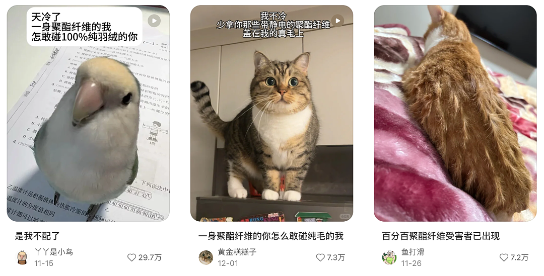“穷人的貂”2000一件，让多少人破防了？（组图） - 4