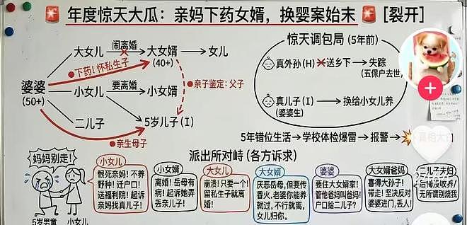 江门岳母“换子”伦理大瓜:男子怀疑妻子出轨,揭开岳母多年丑闻(组图) - 3