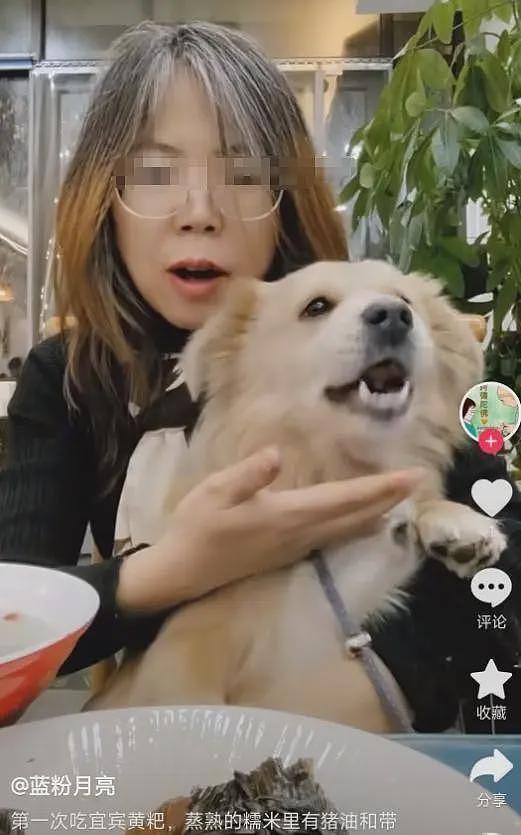 带狗上桌吃饭后续:伪造和解书,多家店遭殃,店铺将追究法律责任(组图) - 8
