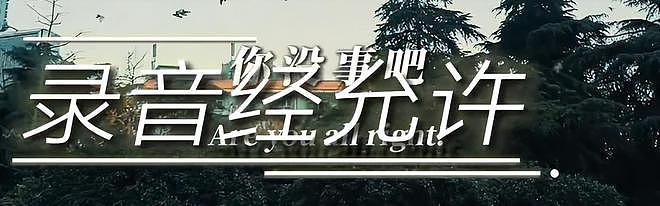 郑爽方晒录音谴责造谣者，声音哽咽再度辟谣，疑似男友在线安慰（组图） - 4