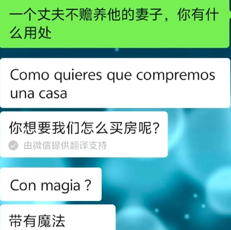 二婚宝妈得瑟旋耀嫁西班牙老公后翻车，个人照片和经历被评论区群嘲（组图） - 12