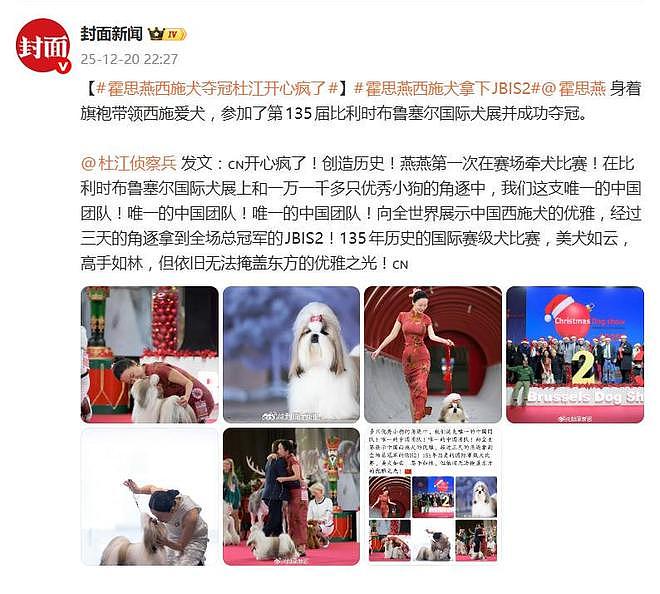 霍思燕爱犬在国际比赛夺冠,杜江发文:开心疯了,创造历史!(组图) - 2