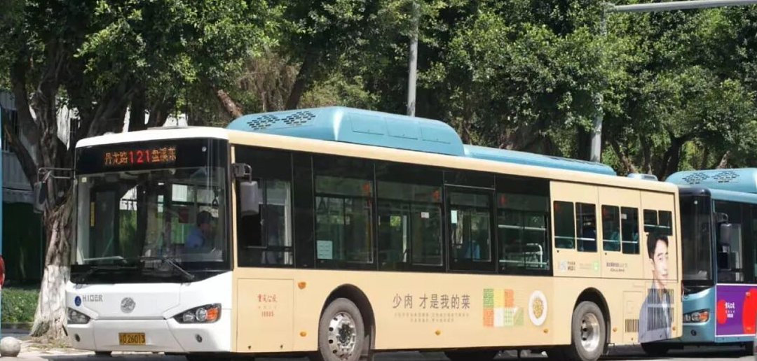 欧美强推的“人造肉”,彻底败退中国(组图) - 13