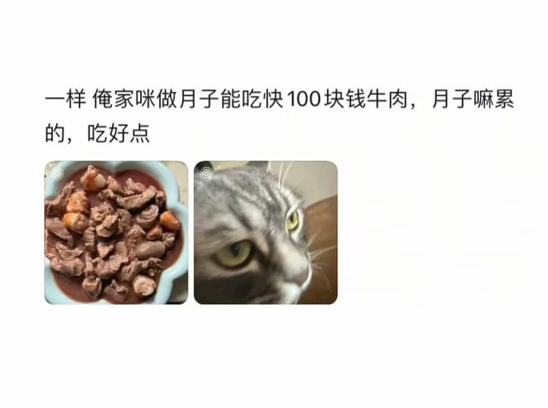【爆笑】“考编和男友报同一个岗位被要求让给他…?”玩的好一招空手套白狼(组图) - 71
