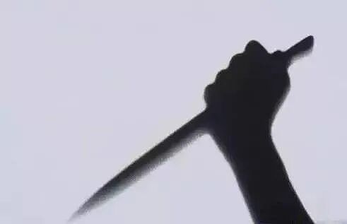 令人发指!日本33岁程序员,因自卑绑架女邻居当性奴,杀人分尸后还淡定上电视...(组图) - 15