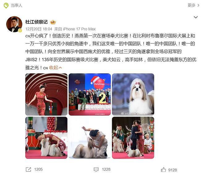 霍思燕爱犬在国际比赛夺冠,杜江发文:开心疯了,创造历史!(组图) - 6