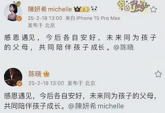 热搜第一！业内曝陈晓陈妍希离婚原因，女方玩得花，男方冷暴力，很不简单（组图） - 8
