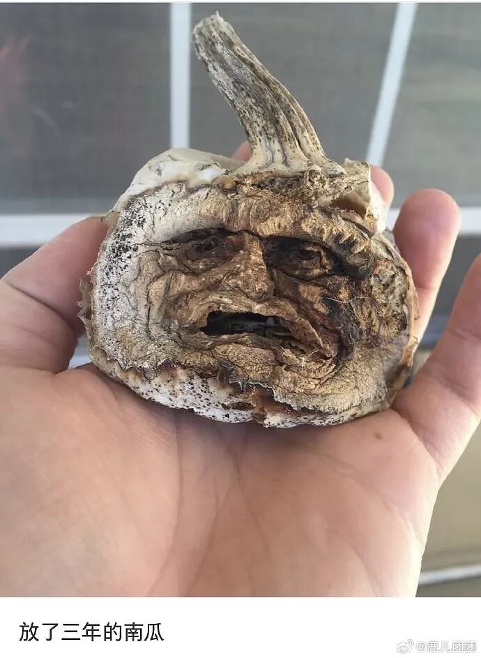 【爆笑】分手六年的前男友今天领证，竟发这样的信息给我？我该怎么回复（组图） - 43