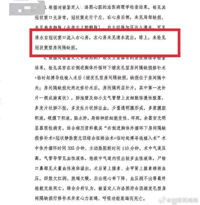 韩红直呼“太离谱”,三甲医生连番追问!5月龄小洛熙手术后离世仍需更多真相……(组图) - 4